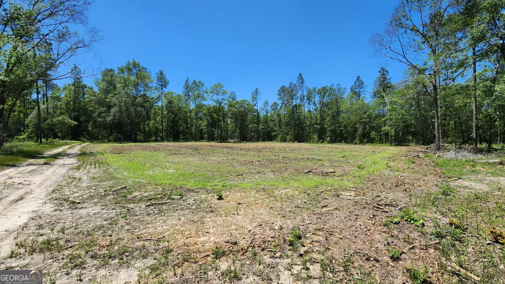 0 Robinson RD Baconton, GA 31716