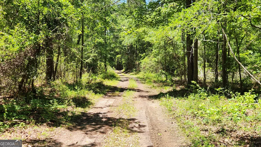 0 Robinson RD Baconton, GA 31716