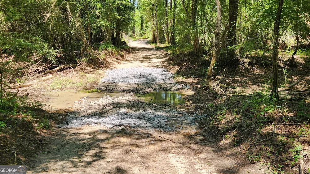 0 Robinson RD Baconton, GA 31716
