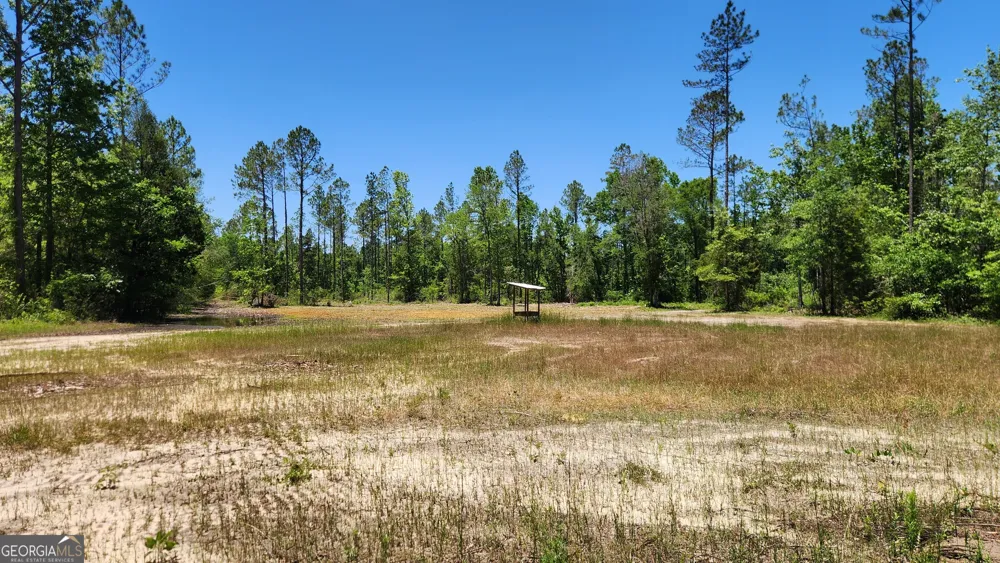 0 Robinson RD Baconton, GA 31716