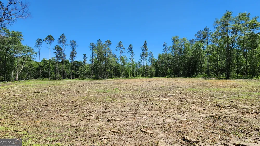 0 Robinson RD Baconton, GA 31716