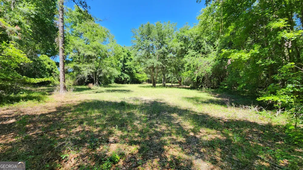 0 Robinson RD Baconton, GA 31716