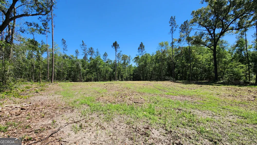 0 Robinson RD Baconton, GA 31716
