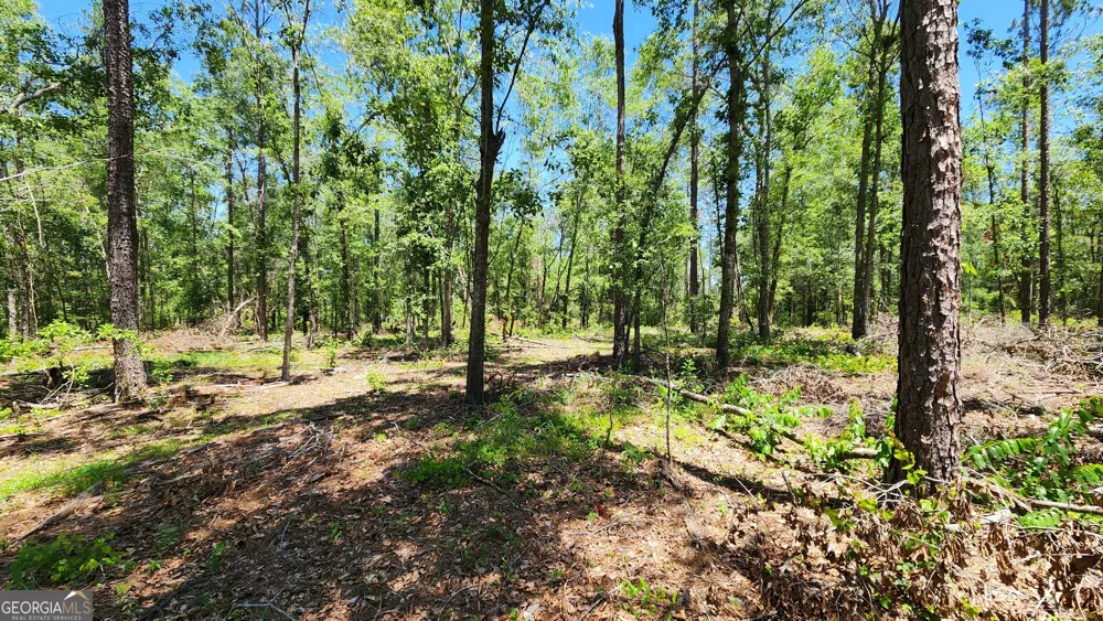 0 Robinson RD Baconton, GA 31716