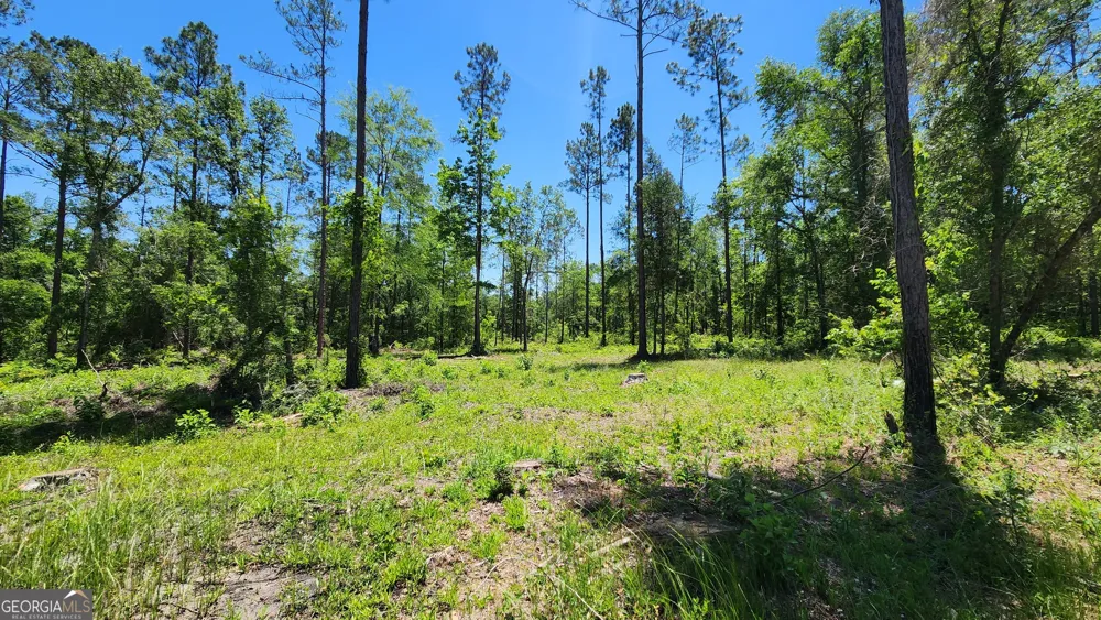 0 Robinson RD Baconton, GA 31716
