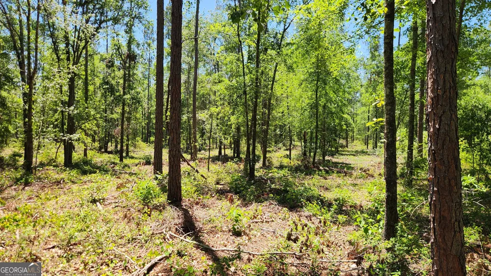 0 Robinson RD Baconton, GA 31716