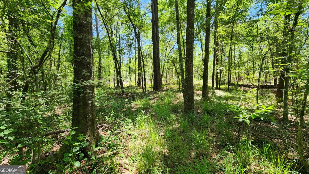 0 Robinson RD Baconton, GA 31716