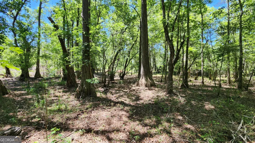 0 Robinson RD Baconton, GA 31716
