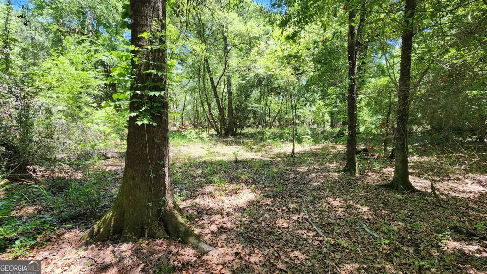 0 Robinson RD Baconton, GA 31716