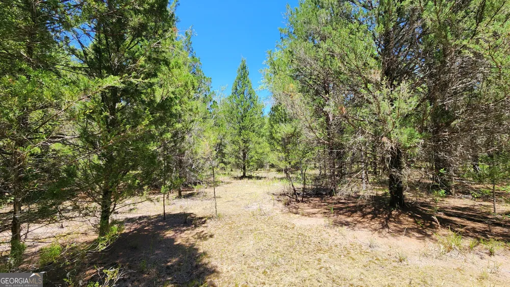 0 Robinson RD Baconton, GA 31716