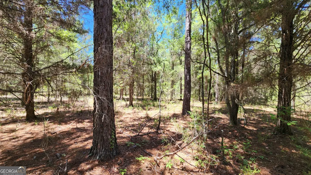 0 Robinson RD Baconton, GA 31716