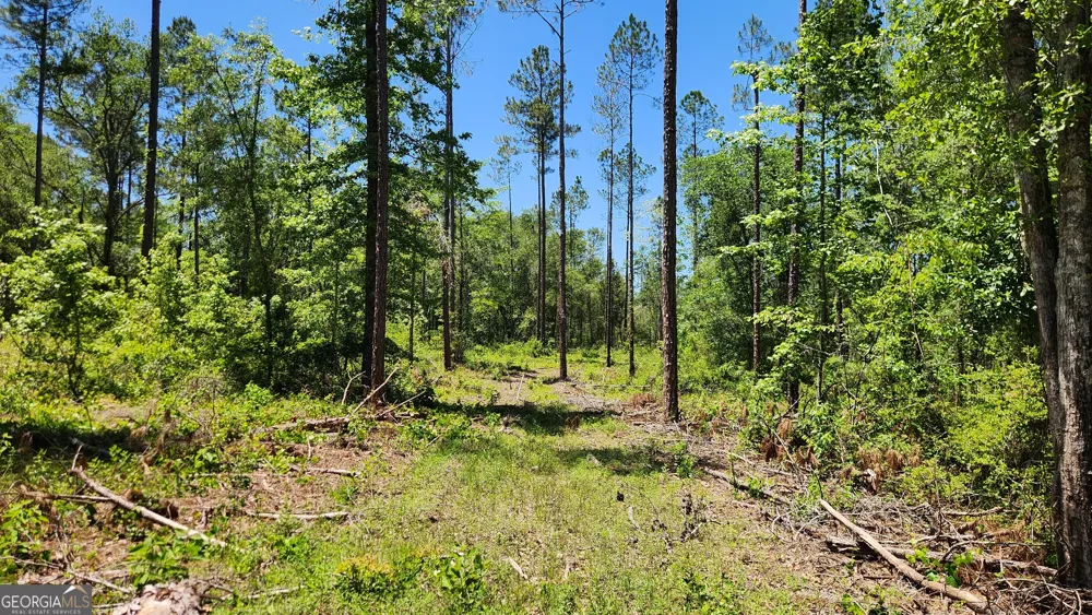 0 Robinson RD Baconton, GA 31716
