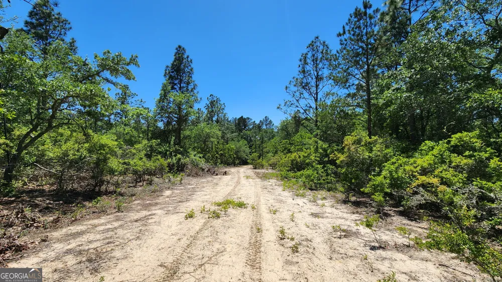 0 Robinson RD Baconton, GA 31716