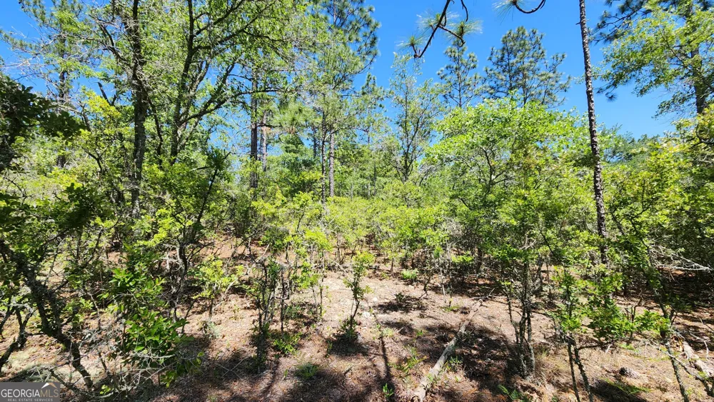 0 Robinson RD Baconton, GA 31716