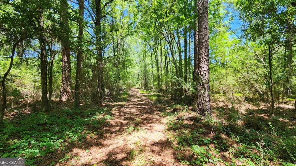 0 Robinson RD Baconton, GA 31716