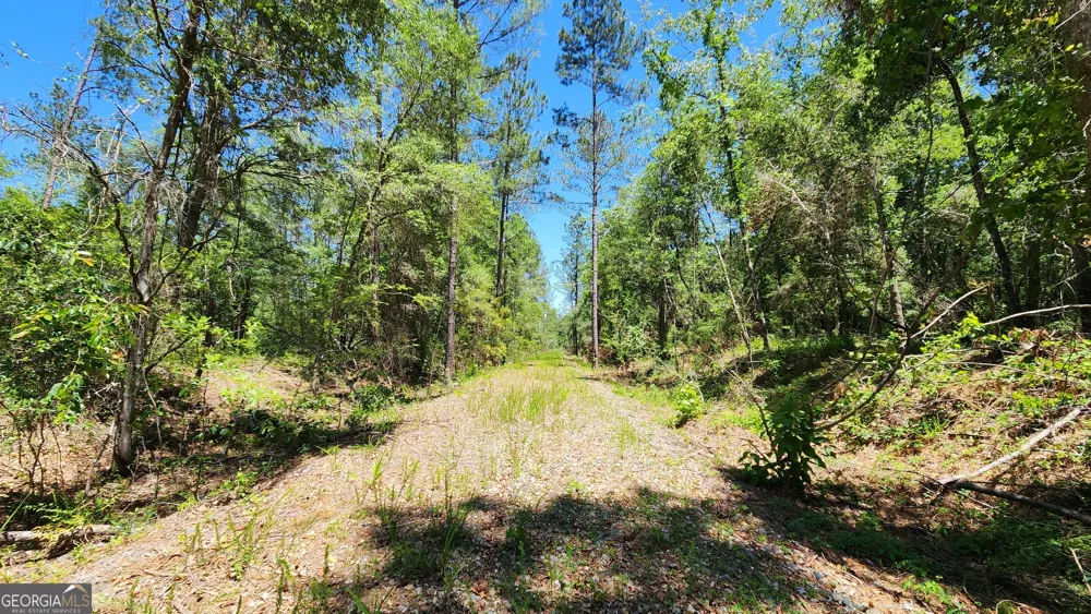 0 Robinson RD Baconton, GA 31716
