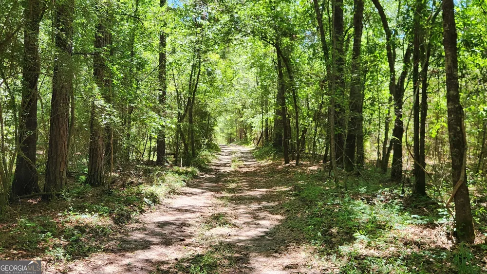 0 Robinson RD Baconton, GA 31716