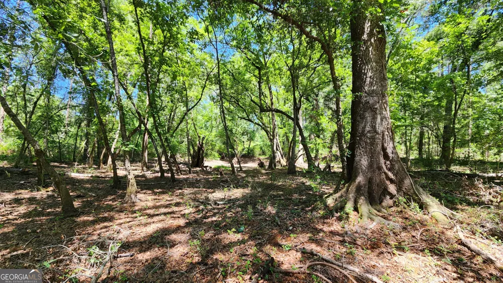 0 Robinson RD Baconton, GA 31716