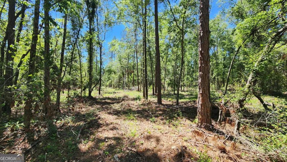 0 Robinson RD Baconton, GA 31716