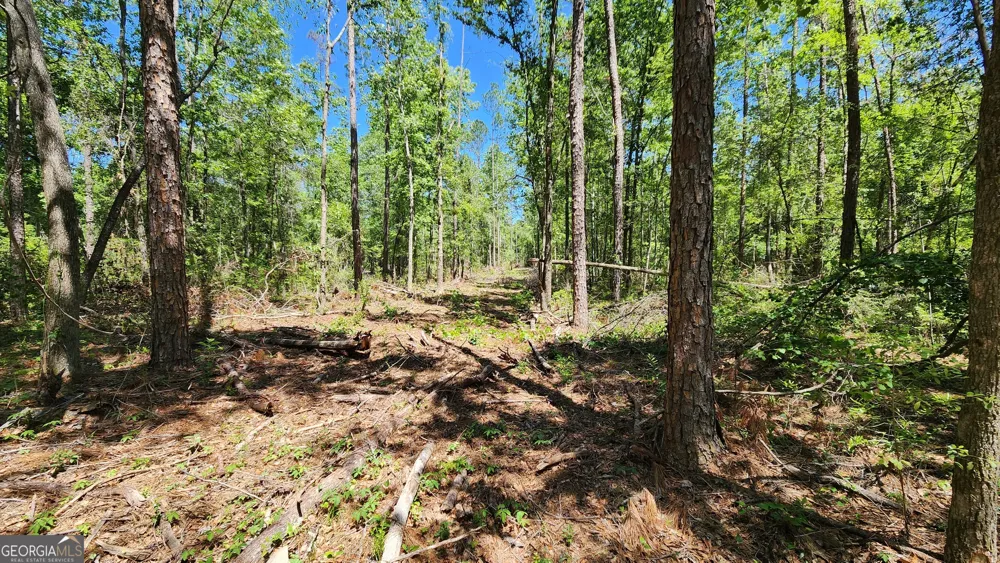 0 Robinson RD Baconton, GA 31716