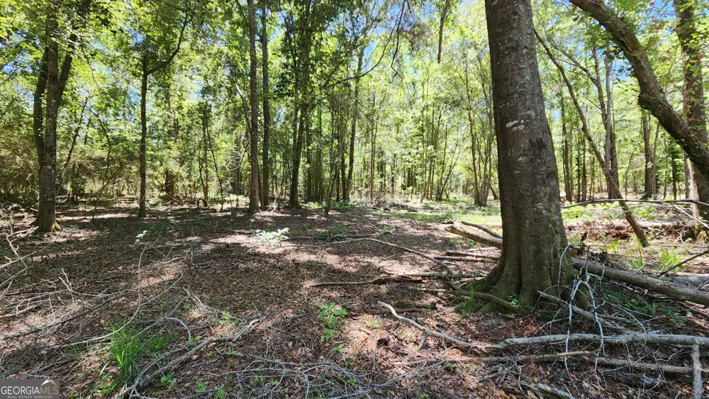 0 Robinson RD Baconton, GA 31716
