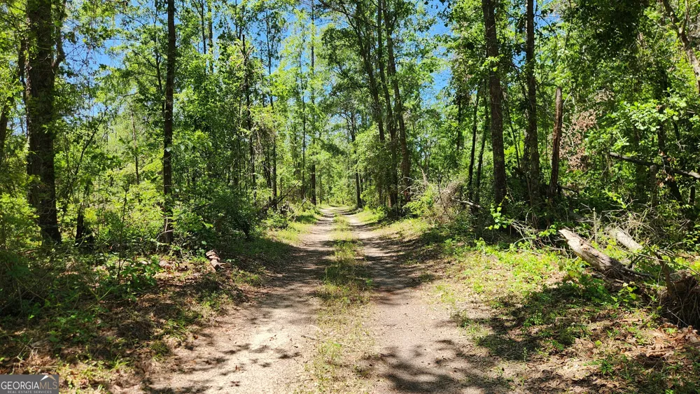 0 Robinson RD Baconton, GA 31716