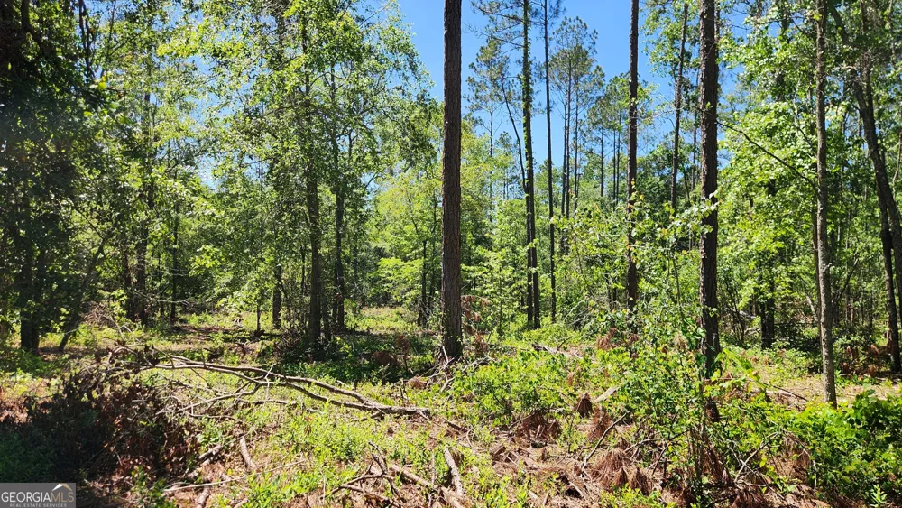 0 Robinson RD Baconton, GA 31716