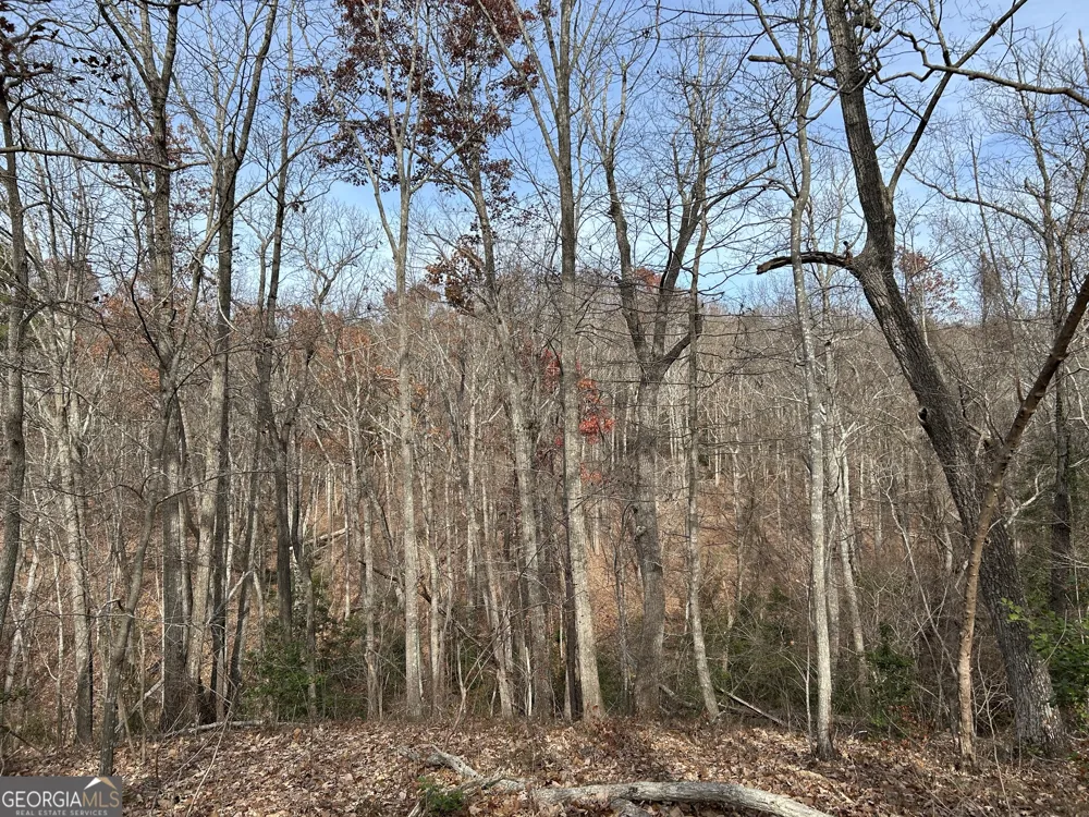 0 Highway 105 Baldwin, GA 30511