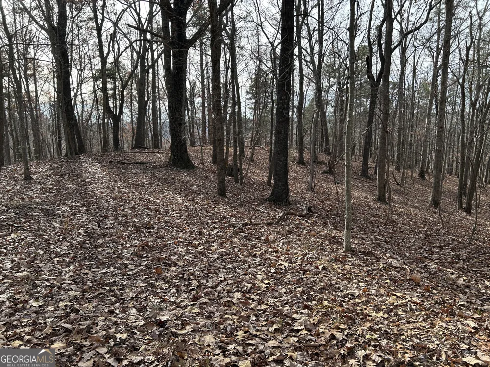 0 Highway 105 Baldwin, GA 30511