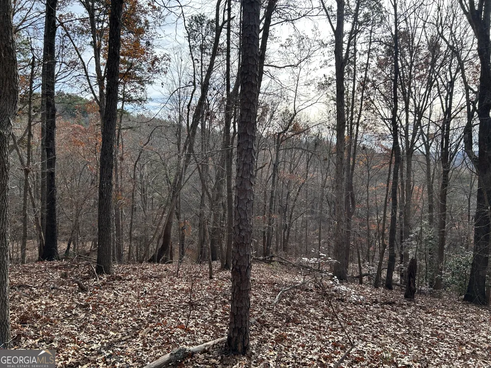0 Highway 105 Baldwin, GA 30511
