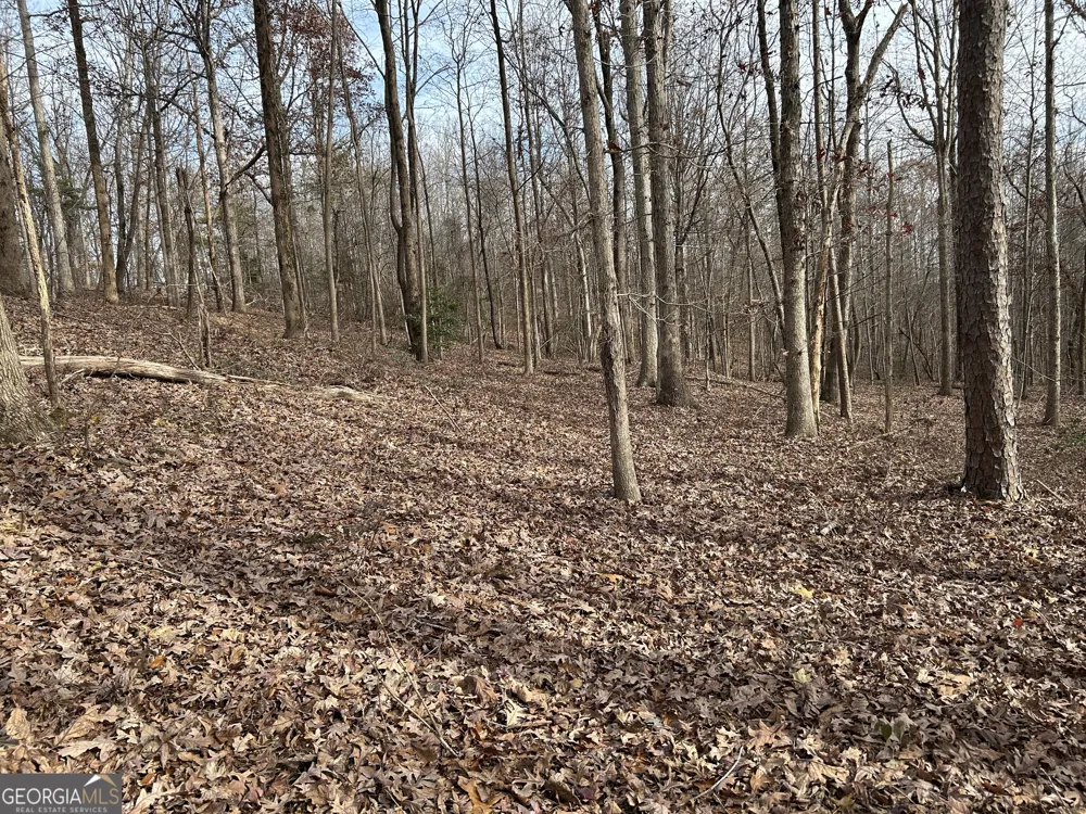 0 Highway 105 Baldwin, GA 30511