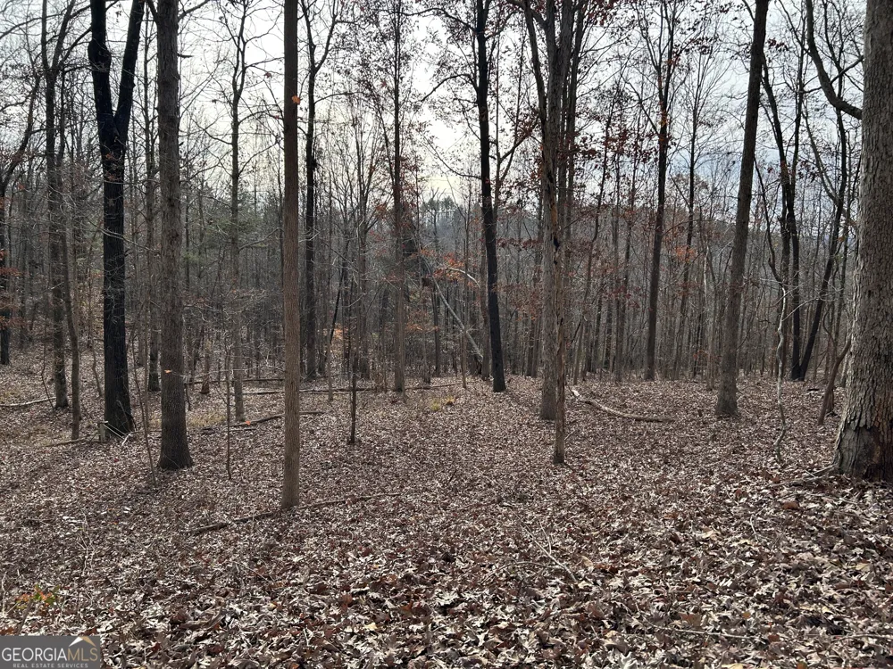 0 Highway 105 Baldwin, GA 30511