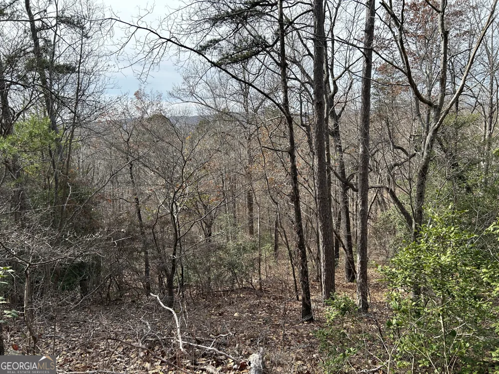 0 Highway 105 Baldwin, GA 30511