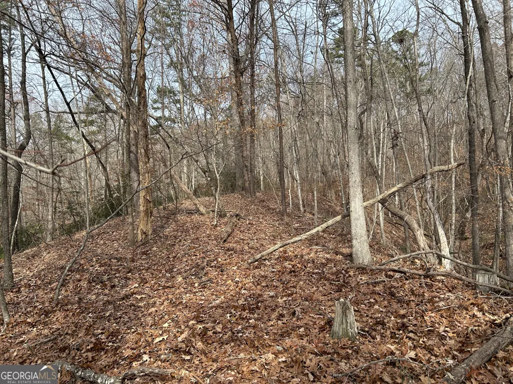 0 Highway 105 Baldwin, GA 30511