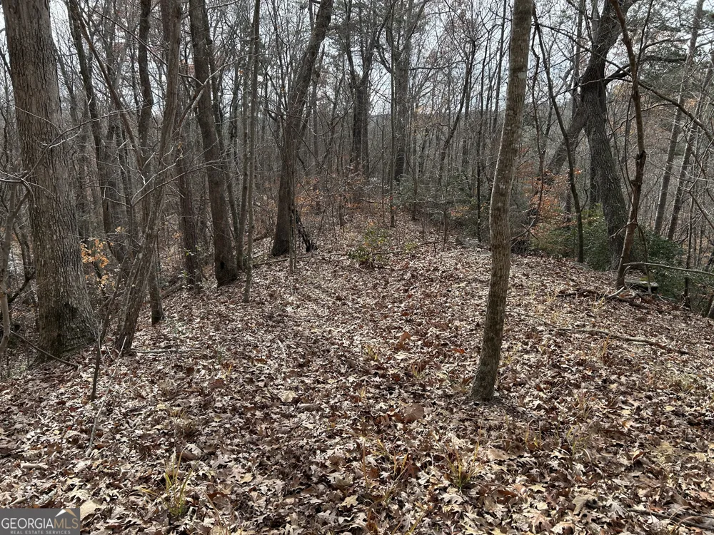 0 Highway 105 Baldwin, GA 30511