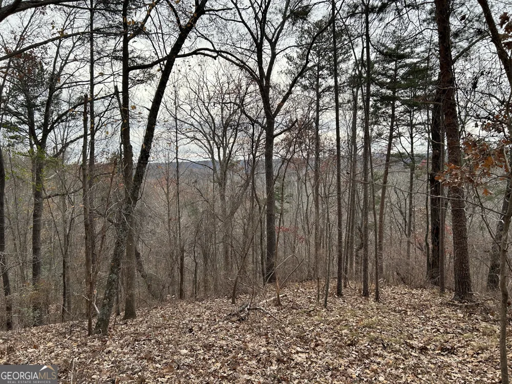 0 Highway 105 Baldwin, GA 30511
