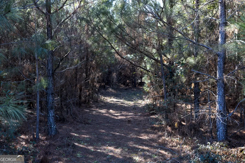 0 S U 82 HWY E Cuthbert, GA 39840