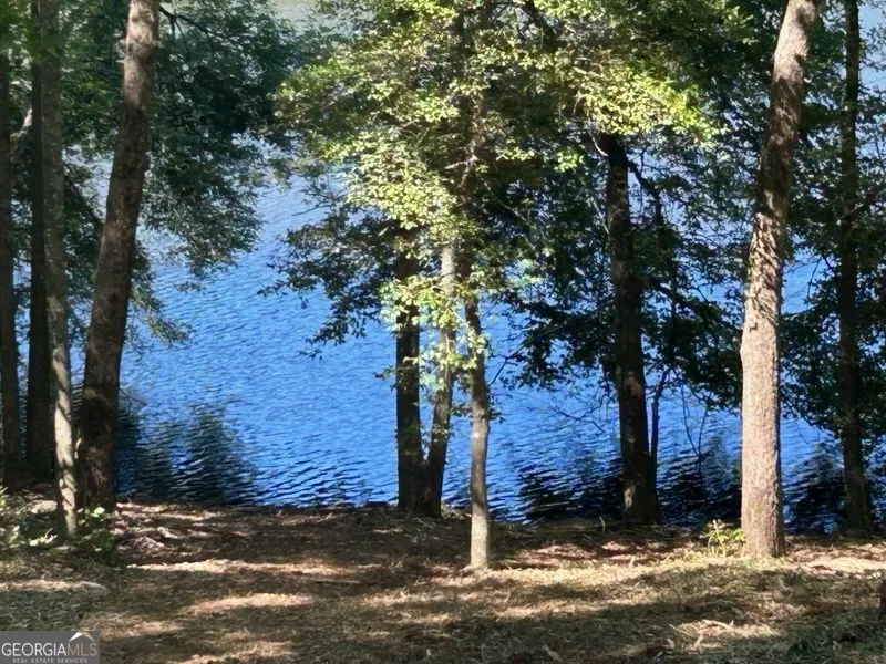 1024 Stonepile RD Clarkesville, GA 30523