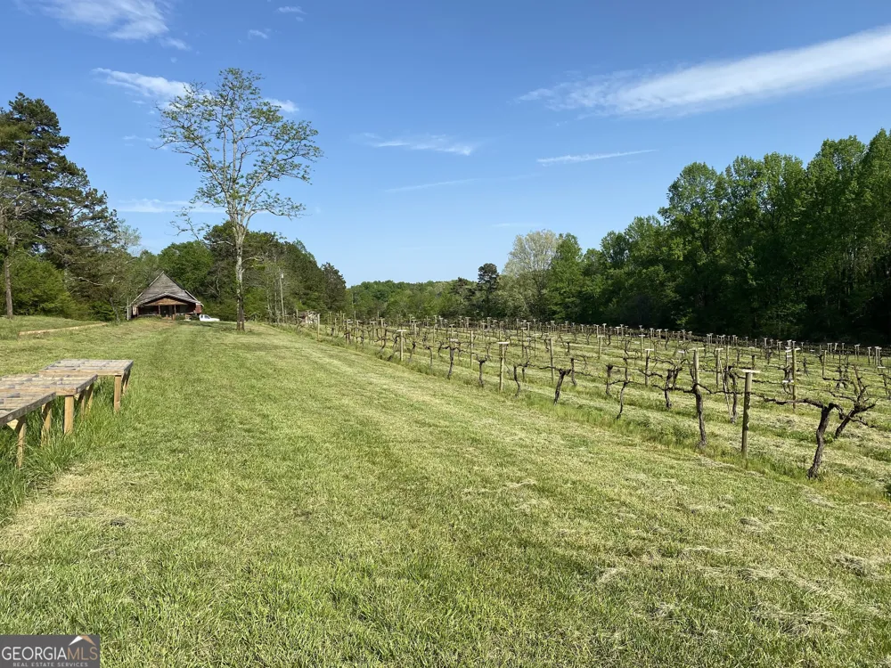 1024 Stonepile RD Clarkesville, GA 30523