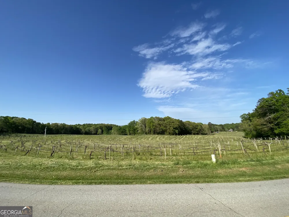 1024 Stonepile RD Clarkesville, GA 30523