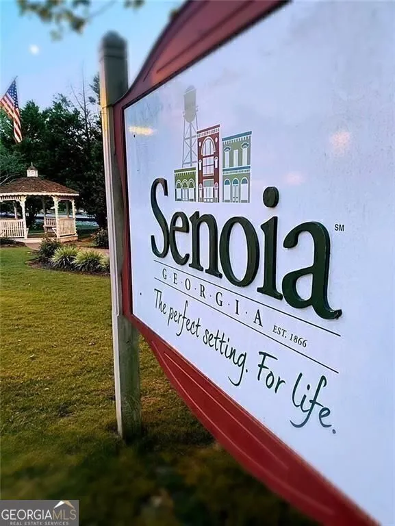 124 Morgan ST Senoia, GA 30276