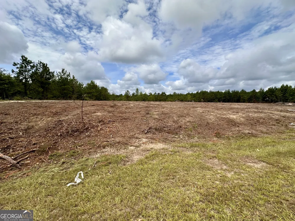 1 Rock Springs RD Dublin, GA 31021