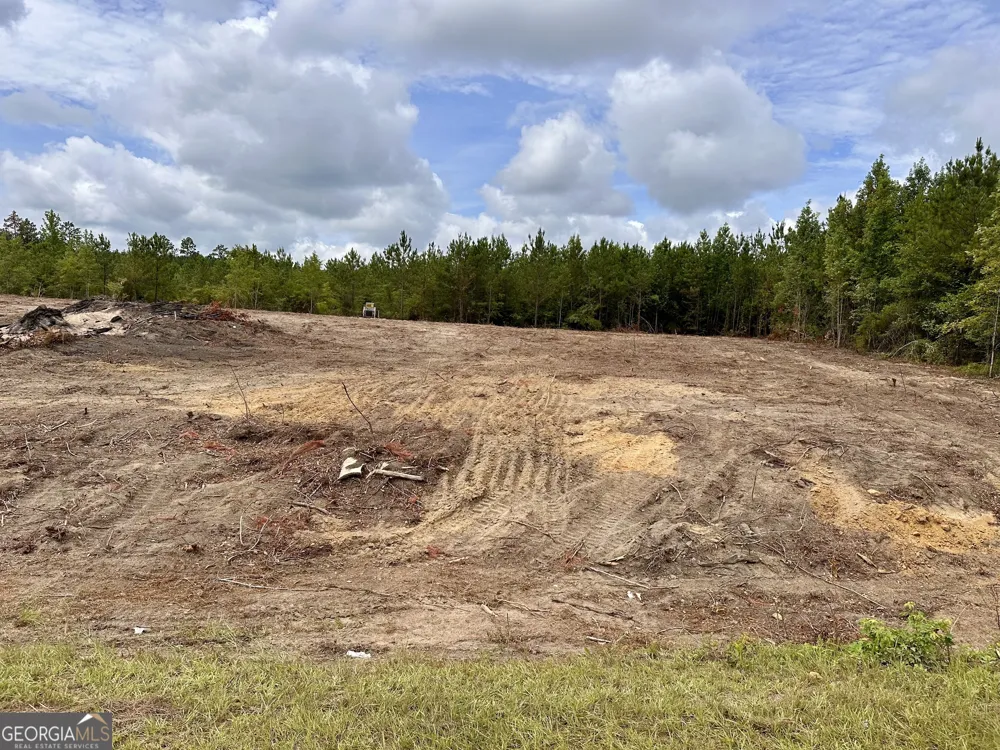 1 Rock Springs RD Dublin, GA 31021