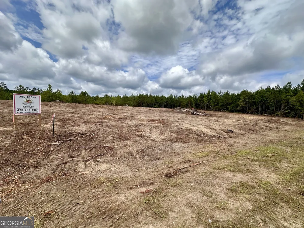 1 Rock Springs RD Dublin, GA 31021