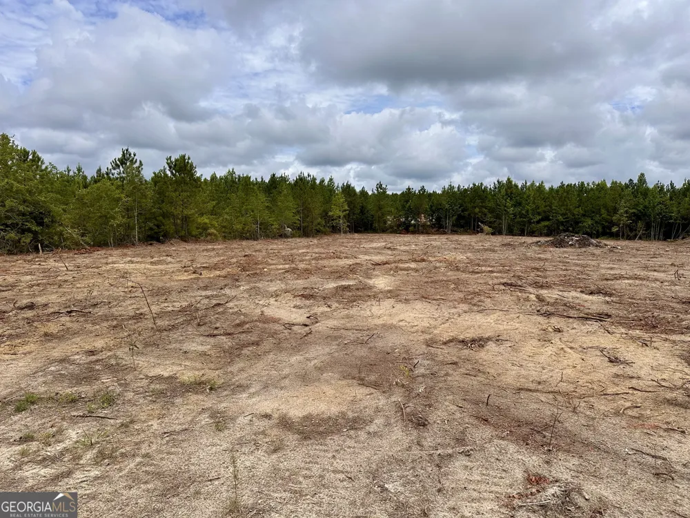1 Rock Springs RD Dublin, GA 31021
