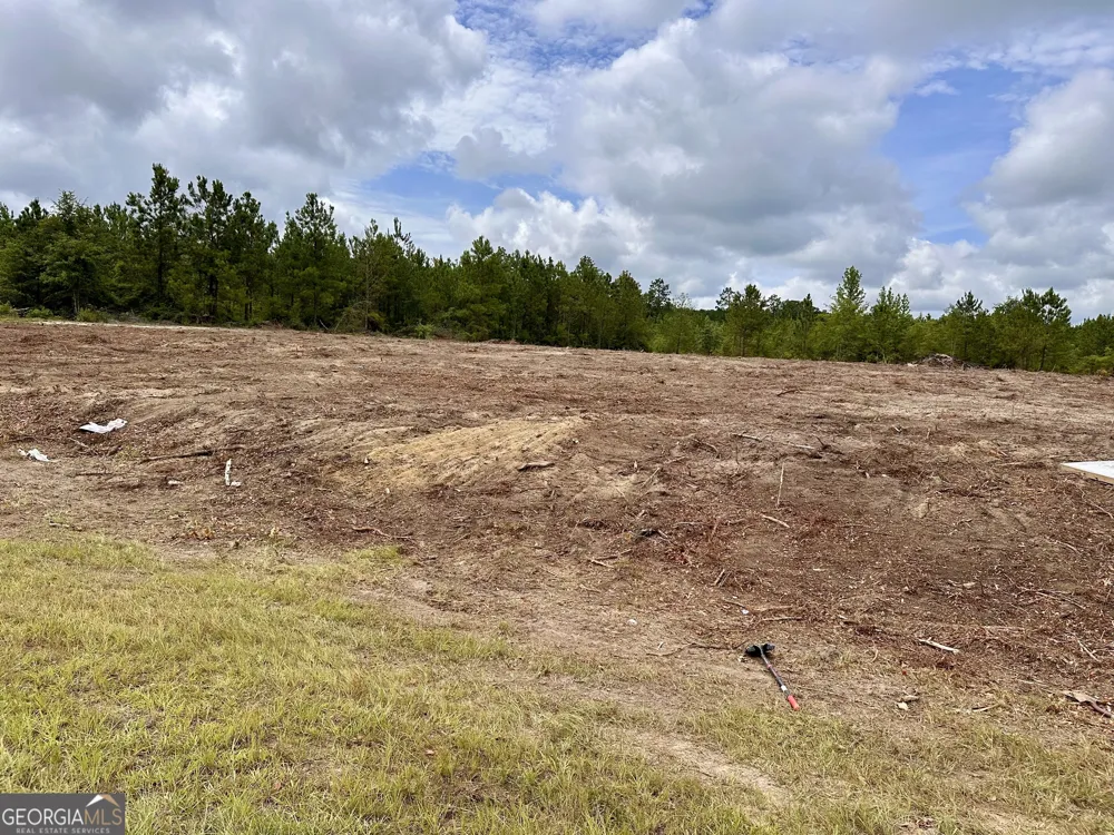 1 Rock Springs RD Dublin, GA 31021