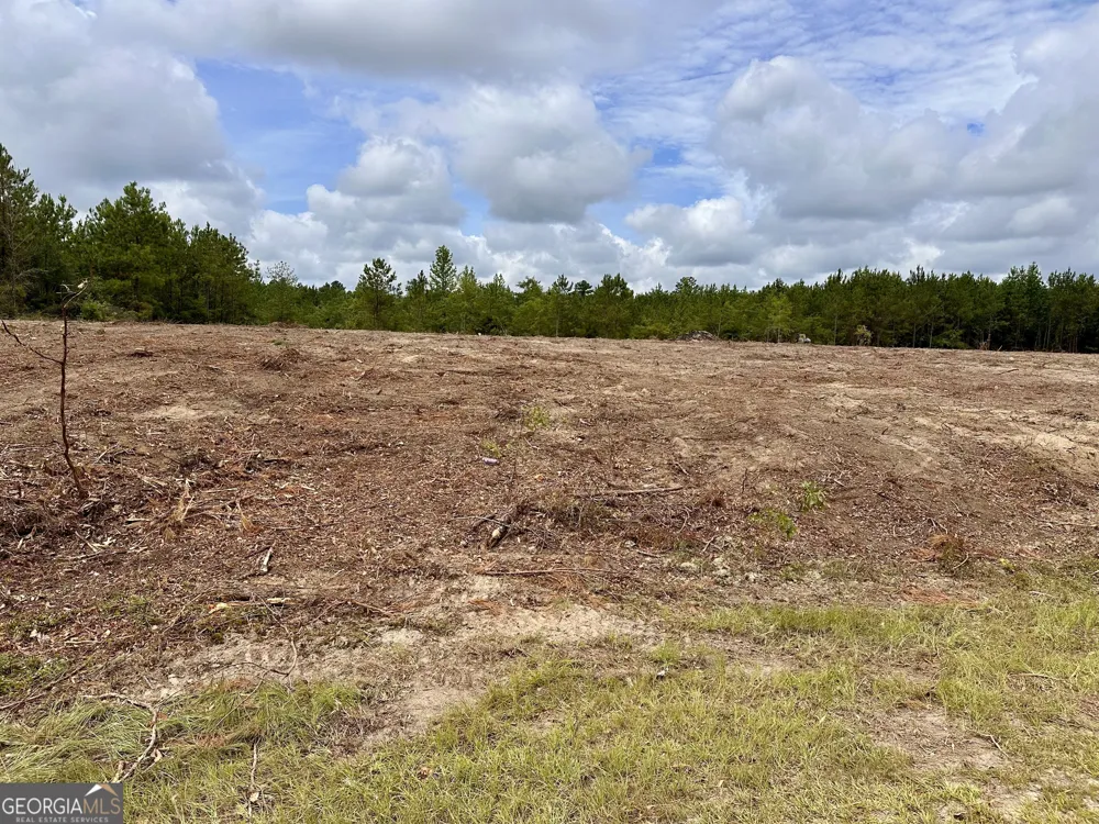 LOT B Rock Springs RD Dublin, GA 31021