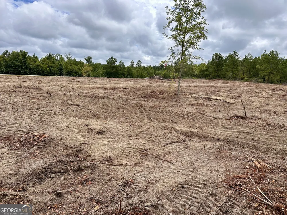 LOT B Rock Springs RD Dublin, GA 31021