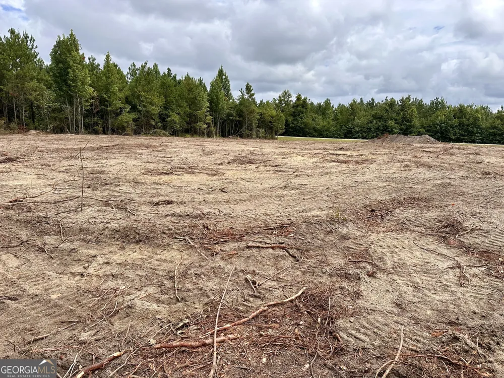 LOT B Rock Springs RD Dublin, GA 31021