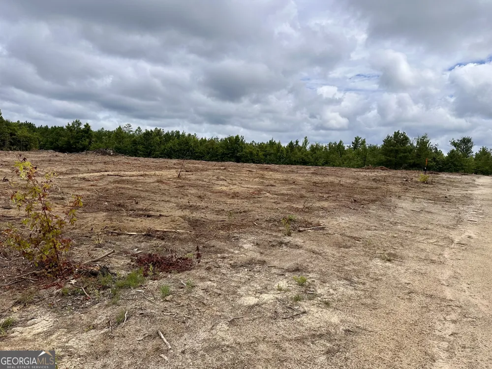 LOT B Rock Springs RD Dublin, GA 31021